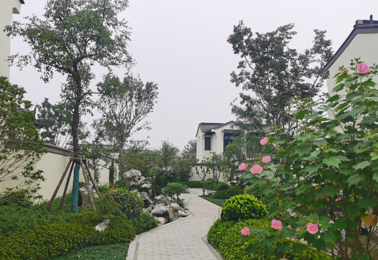 1648881346382150.jpg 桃李春风1 (2).jpg